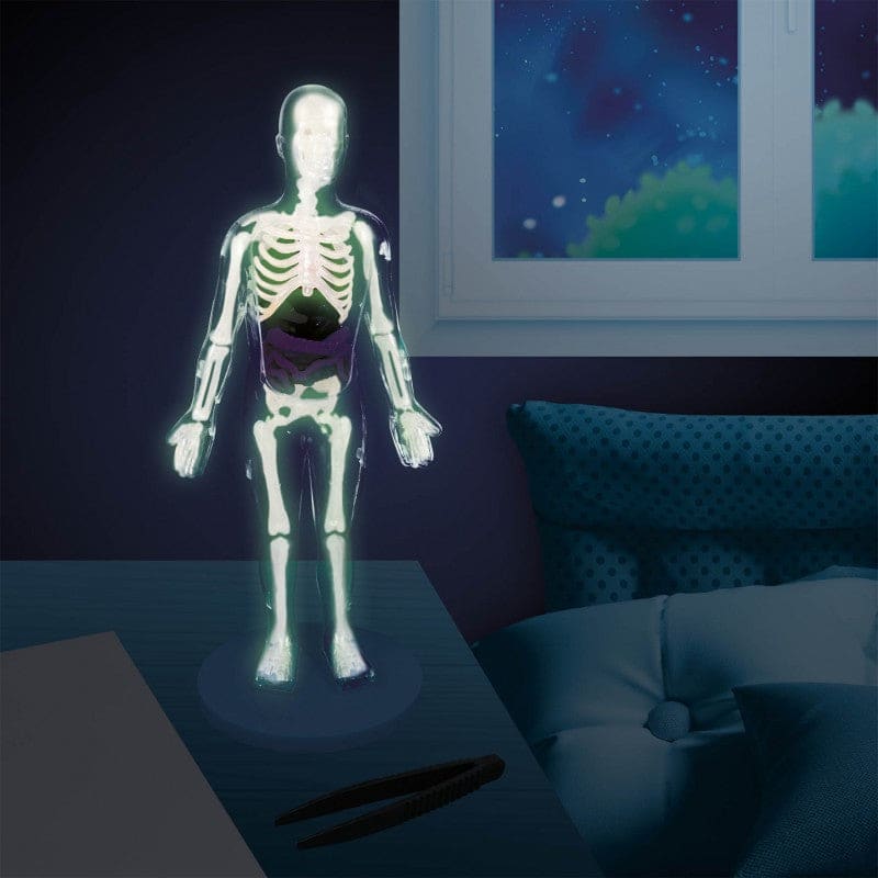 Buki Human Body w/12 Experiments