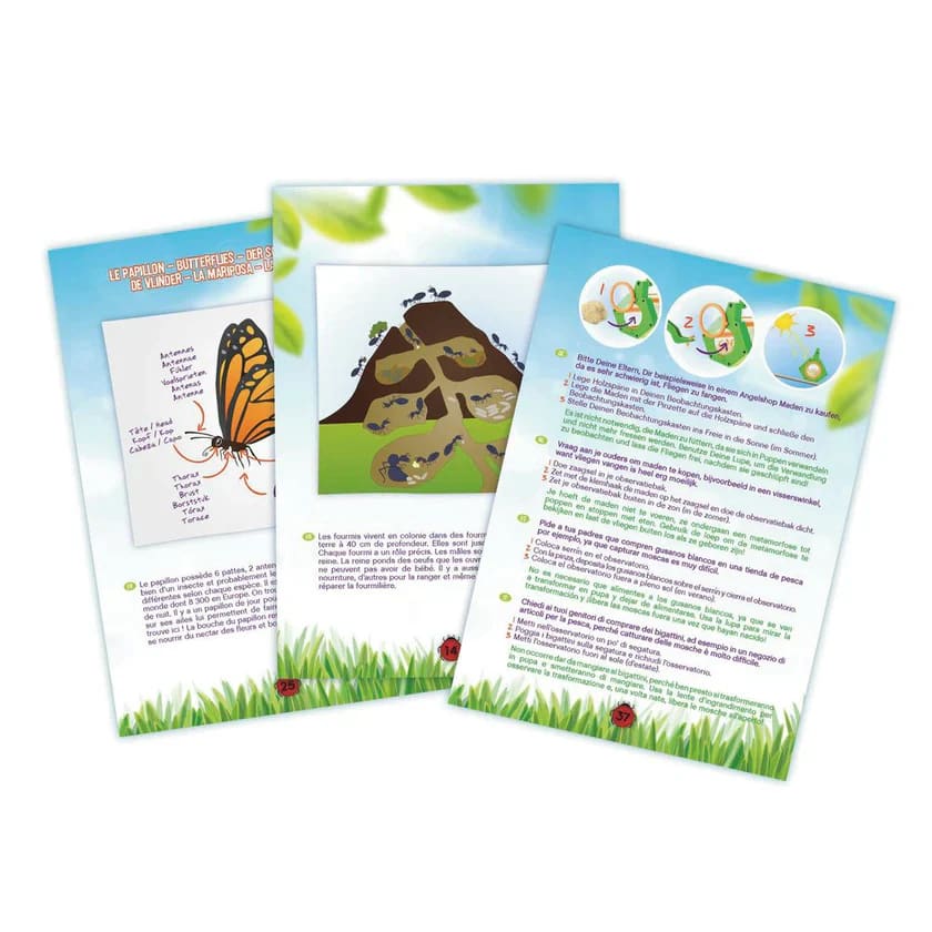 Buki Insect Explorer Kit